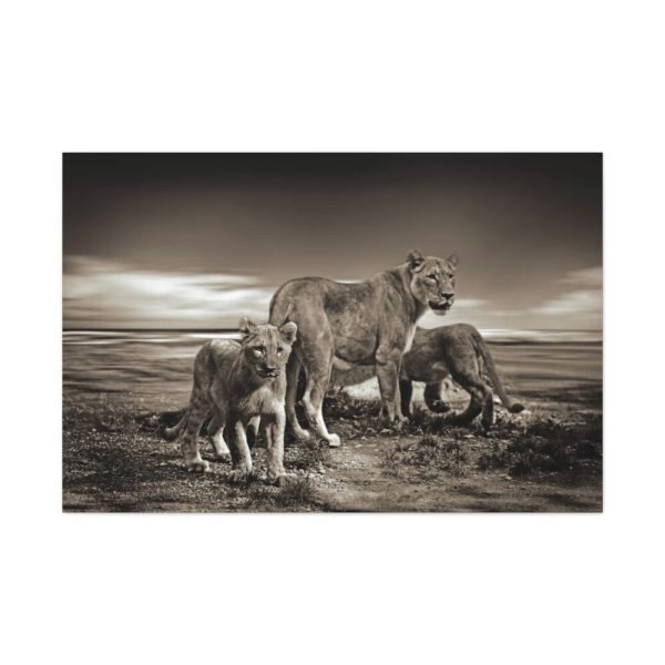Lioness with Cubs Standard Canvas