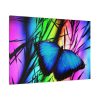Butterfly Blue Insect Standard Canvas
