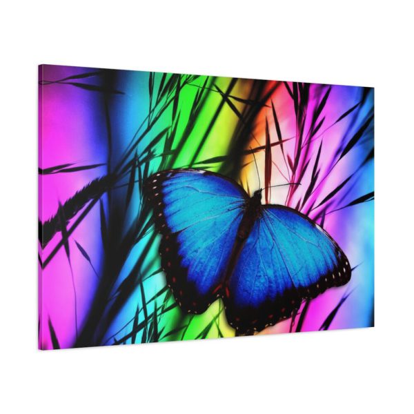 Butterfly Blue Insect Standard Canvas