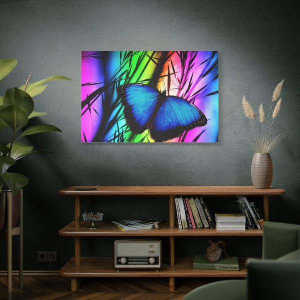 Butterfly Blue Insect Standard Canvas