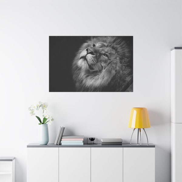 Male Lion Head Closeup Standard Canvas