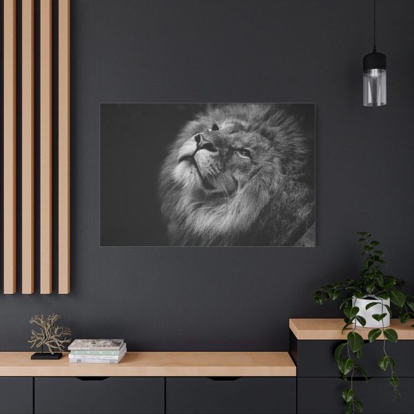 Male Lion Head Closeup Standard Canvas