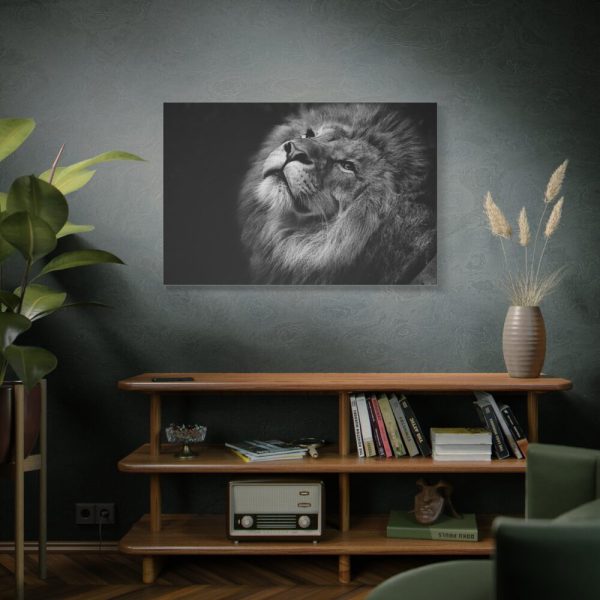 Male Lion Head Closeup Standard Canvas
