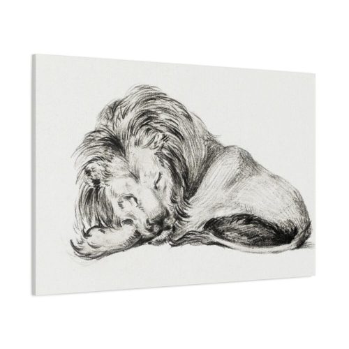 91638-80.jpg Lying Lion by Jean Bernard Standard Canvas