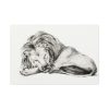 91638-81.jpg Lying Lion by Jean Bernard Standard Canvas