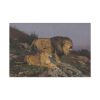 91638-91.jpg The Lion’s Domain by Geza Vastagh Standard Canvas