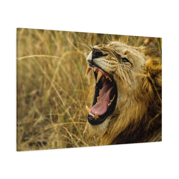 91638-95.jpg Lion Roar Wild Life Standard Canvas