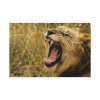 91638-96.jpg Lion Roar Wild Life Standard Canvas