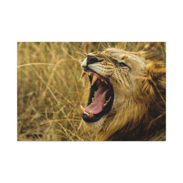 91638-96.jpg Lion Roar Wild Life Standard Canvas