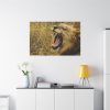 91638-97.jpg Lion Roar Wild Life Standard Canvas
