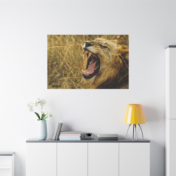 91638-97.jpg Lion Roar Wild Life Standard Canvas