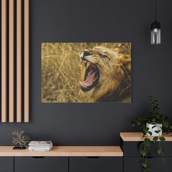 91638-98.jpg Lion Roar Wild Life Standard Canvas