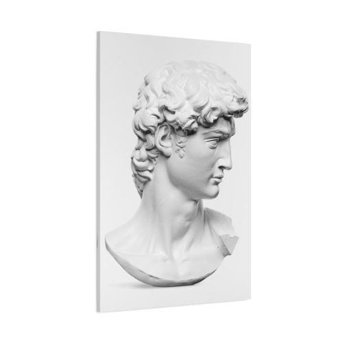 David statue's head by Michelangelo Buonarroti Standard Canvas