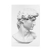 91655-216.jpg David statue's head by Michelangelo Buonarroti Standard Canvas