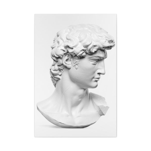 91655-216.jpg David statue's head by Michelangelo Buonarroti Standard Canvas