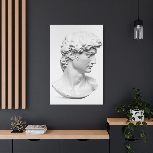 91655-218.jpg David statue's head by Michelangelo Buonarroti Standard Canvas