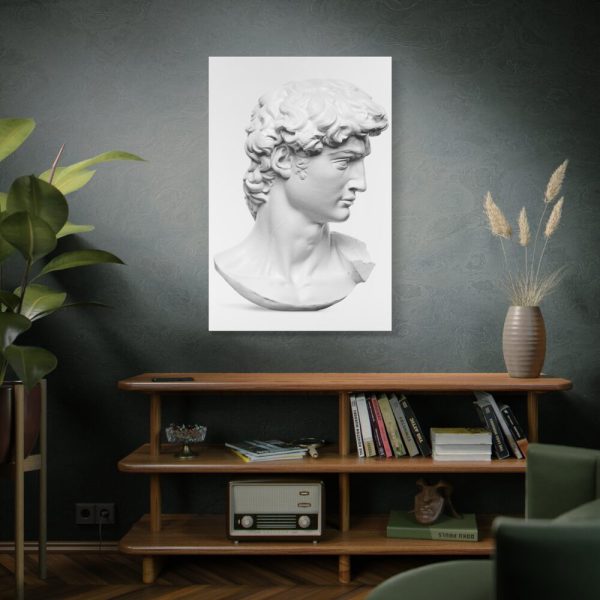 91655-219.jpg David statue's head by Michelangelo Buonarroti Standard Canvas