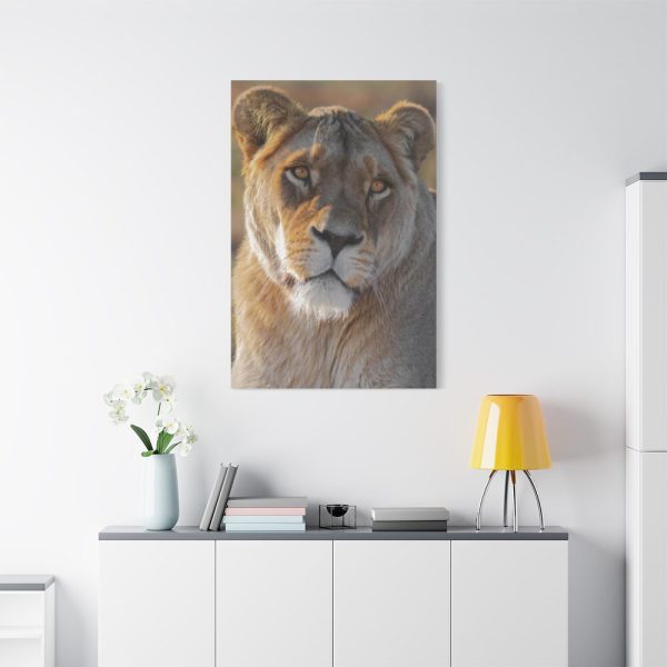 91655-22.jpg Female Lion Closeup Standard Canvas