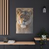 91655-23.jpg Female Lion Closeup Standard Canvas