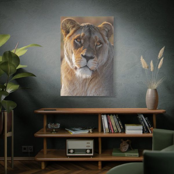 91655-24.jpg Female Lion Closeup Standard Canvas