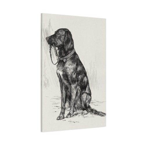 Aldrich's Dog by John Davis Hatch Standard Canvas