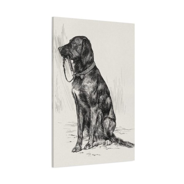 91655-25.jpg Aldrich's Dog by John Davis Hatch Standard Canvas