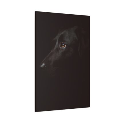 Black Labrador Retriever Dog Standard Canvas