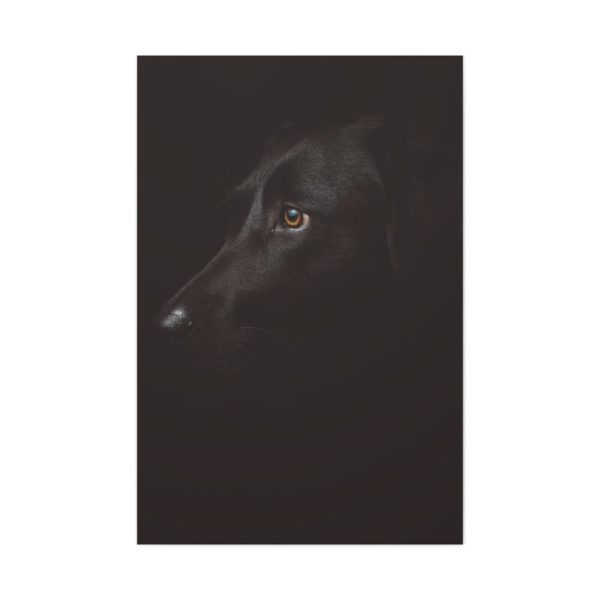 91655-251.jpg Black Labrador Retriever Dog Standard Canvas