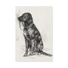 91655-26.jpg Aldrich's Dog by John Davis Hatch Standard Canvas