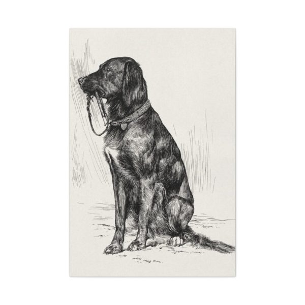 91655-26.jpg Aldrich's Dog by John Davis Hatch Standard Canvas