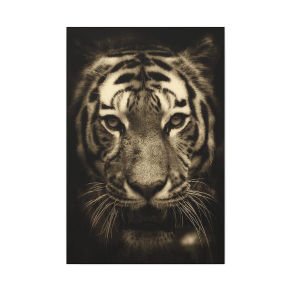 91655-281.jpg Wild Tiger Standard Canvas