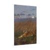 91655-290.jpg A Tiger Among Rushes In The Moonlight Standard Canvas