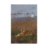 91655-291.jpg A Tiger Among Rushes In The Moonlight Standard Canvas