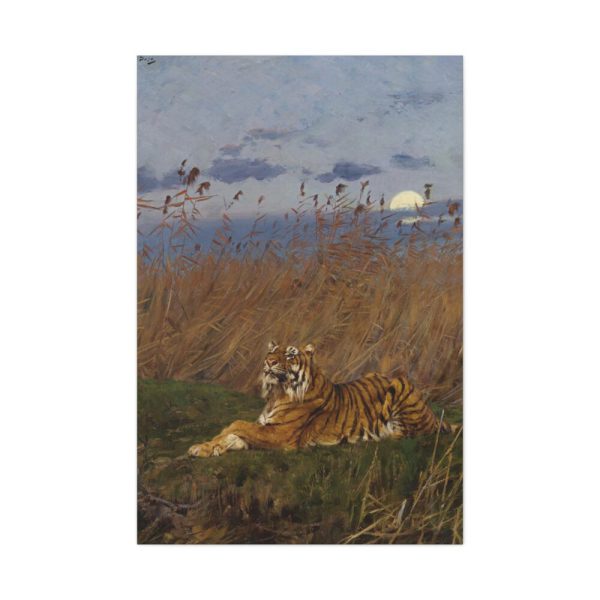 91655-291.jpg A Tiger Among Rushes In The Moonlight Standard Canvas