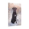 91655-310.jpg Black Dog Sitting on Snow Standard Canvas