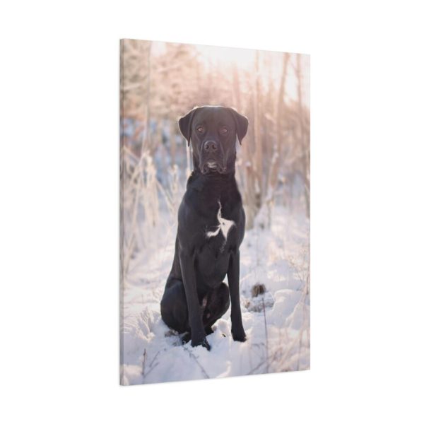91655-310.jpg Black Dog Sitting on Snow Standard Canvas