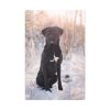 91655-311.jpg Black Dog Sitting on Snow Standard Canvas