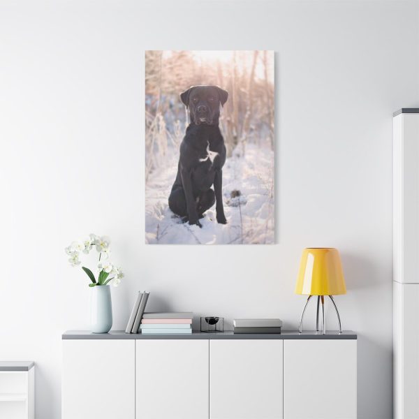 91655-312.jpg Black Dog Sitting on Snow Standard Canvas