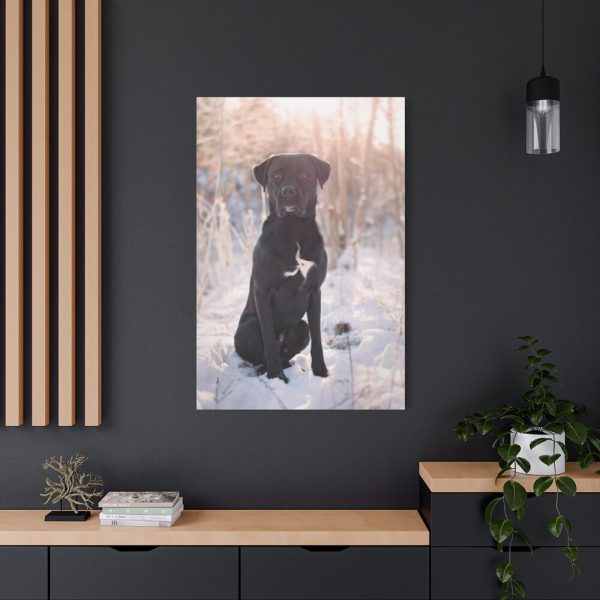 91655-313.jpg Black Dog Sitting on Snow Standard Canvas