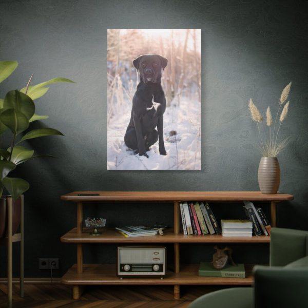 91655-314.jpg Black Dog Sitting on Snow Standard Canvas