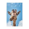 An Up-Close Look at a Giraffe at the Gladys Porter Zoo Standard Canvas