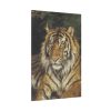 91655-350.jpg A Reclining Tiger by Géza Vastagh Standard Canvas