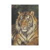 91655-351.jpg A Reclining Tiger by Géza Vastagh Standard Canvas