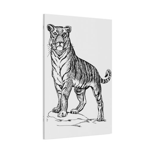 91655-355.jpg Vintage Tiger Animal Illustration Standard Canvas