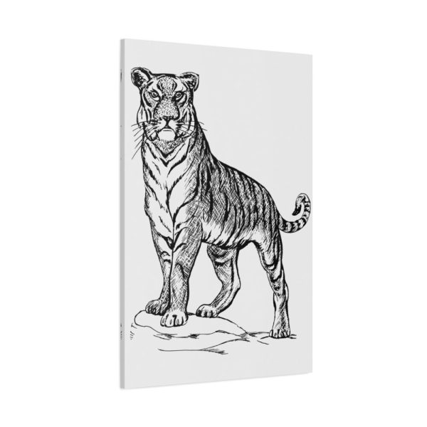 91655-355.jpg Vintage Tiger Animal Illustration Standard Canvas