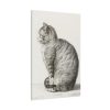 91655-360.jpg Sitting cat by Jean Bernard Standard Canvas