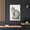 91655-363.jpg Sitting cat by Jean Bernard Standard Canvas