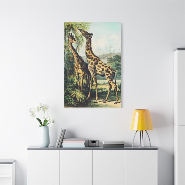 91655-372.jpg Giraffe from Johnson's Household Book of Nature by John Karst Standard Canvas