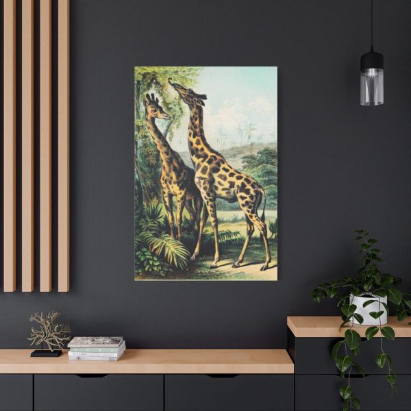 91655-373.jpg Giraffe from Johnson's Household Book of Nature by John Karst Standard Canvas