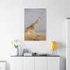 91655-377.jpg Giraffe in the Nature Standard Canvas